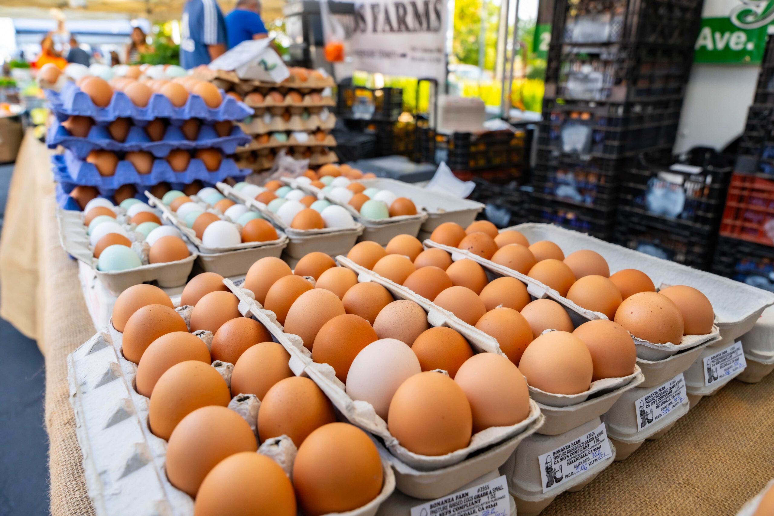 appetizing brown, white, and green eggs available for purchase from the Old Town Newhall Farmers Market